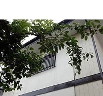 外壁＆屋根の塗装事例